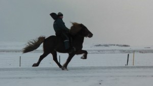 Magnús og Stuðull í flugtaki